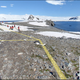Illustration for article titled Google Street View Invades Antarctica